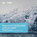 Magnesium Health Facebook Campaign V1-6