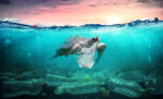 Plastic,Pollution,In,Ocean,-,Turtle,Eat,Plastic,Bag,-